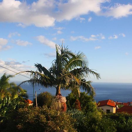 Lugar Dos Louros 2 Appartement Estreito Da Calheta Buitenkant foto