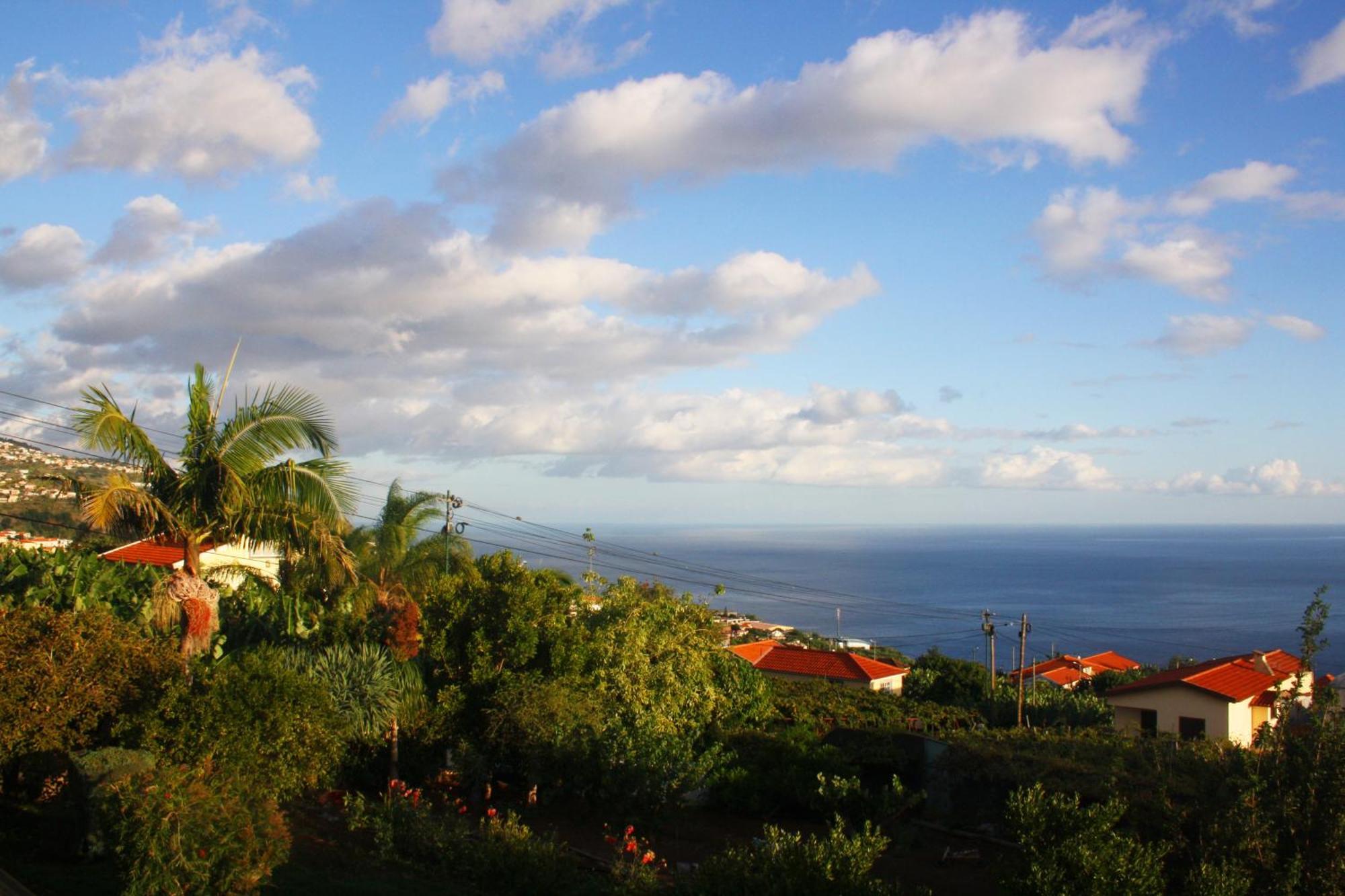 Lugar Dos Louros 2 Appartement Estreito Da Calheta Buitenkant foto