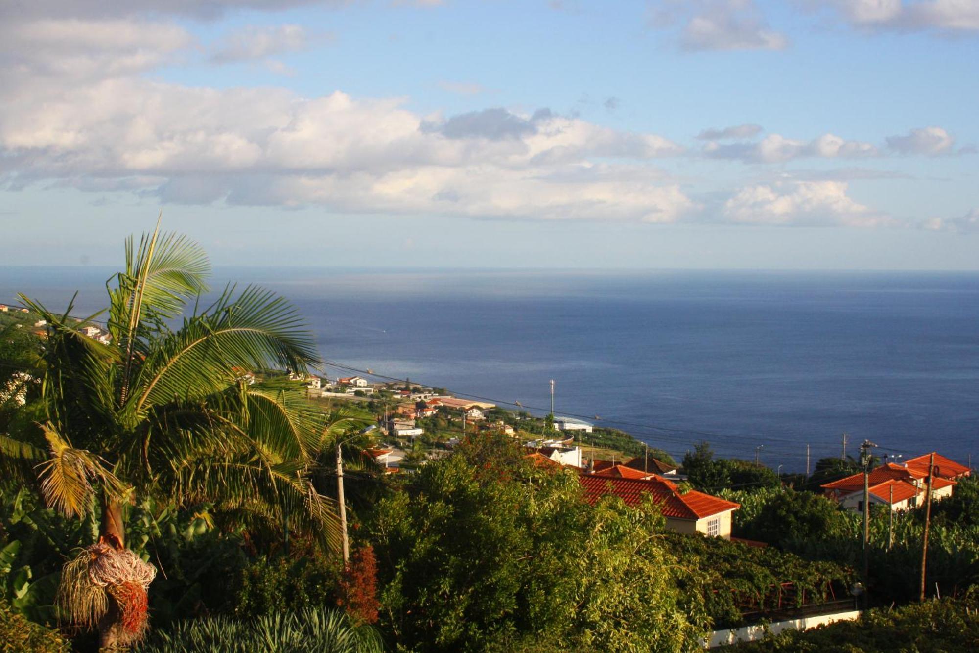 Lugar Dos Louros 2 Appartement Estreito Da Calheta Buitenkant foto