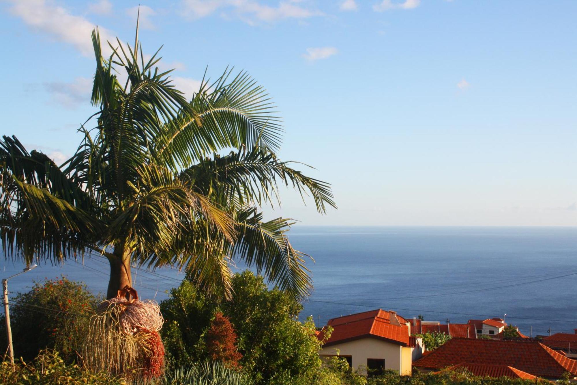 Lugar Dos Louros 2 Appartement Estreito Da Calheta Buitenkant foto